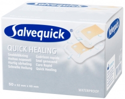 PLSTER QUICK HEALING 673510