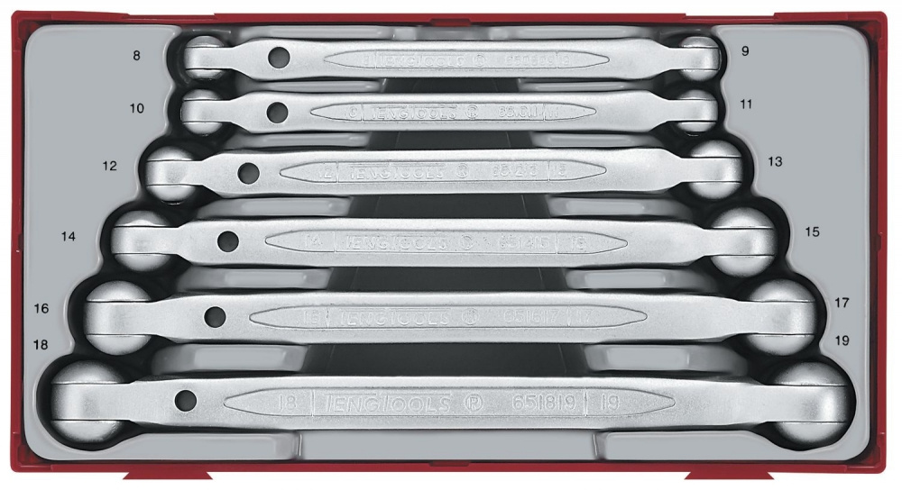 LEDHYLSNYCKELSATS TT6506 6-DEL